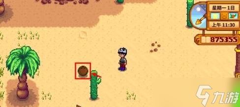 <a id='link_pop' class='keyword-tag' href='https://www.9game.cn/xlgwy/'>星露谷物语</a>椰子有什么作用