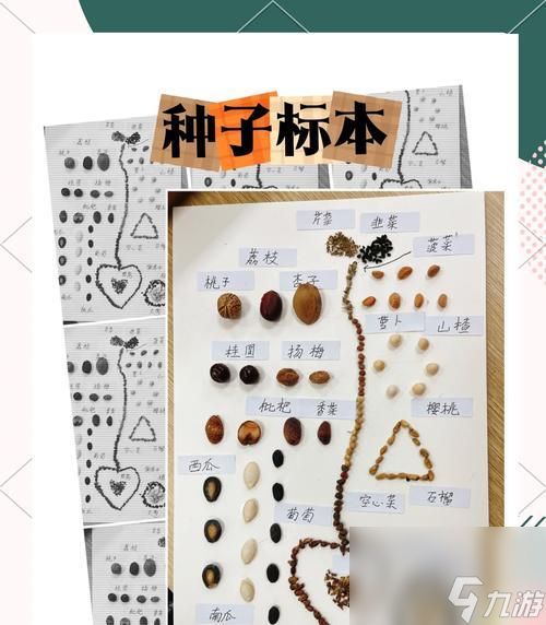 如何在以手工星球中获取种子(探索游戏世界)