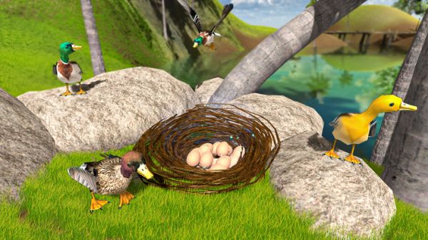 飞行鸭子生活模拟器好玩吗 飞行鸭子生活模拟器玩法简介