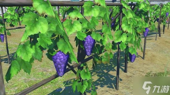 《最终幻想14》搞笑梗图再现!《宝可梦传说:Z-A》中出现"多边形葡萄"