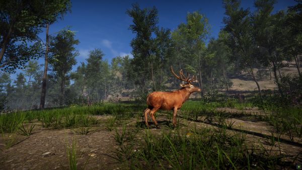 残余好玩吗 残余玩法简介