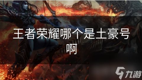 王者荣耀哪个是土豪号啊