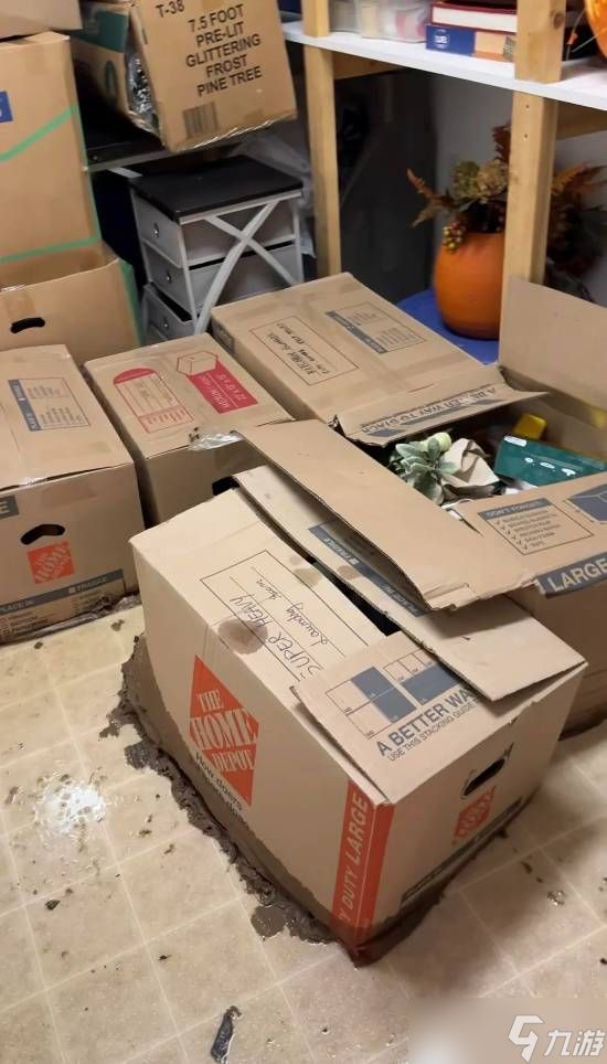 污水突袭致宝可梦卡牌收藏尽毁