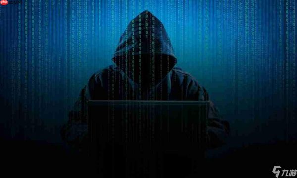 国外新大神voices38未来计划:开发攻破新D加密的工具