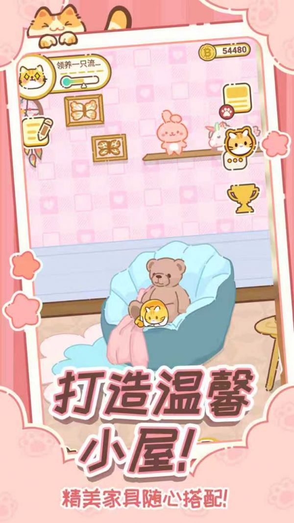 领养一只流浪猫好玩吗 领养一只流浪猫玩法简介