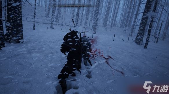 《浪人觉醒》英文名介绍