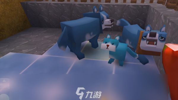 迷你世界如何驯服狗2025 迷你世界怎么驯化狗