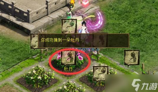 大话西游庭院放置花圃的方法是什么？花圃有何作用？