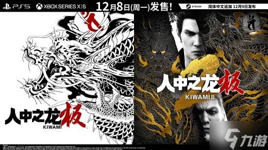 Switch2版《如龙极2》掉帧严重!连30帧都不稳