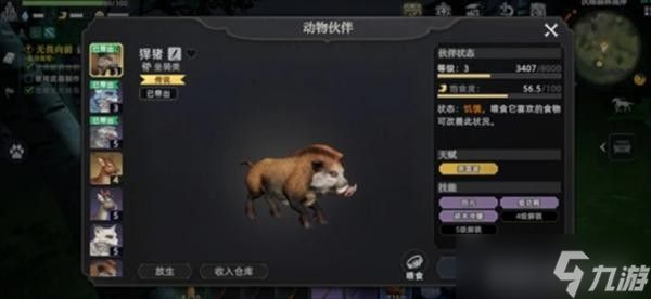 荒原曙光五大实用宠物推荐