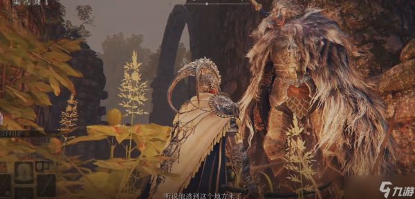 艾尔登法环菈妮盟友有哪些