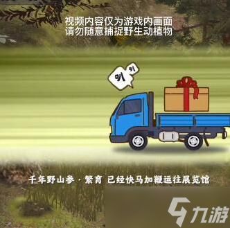 夺笋高手无价之宝攻略