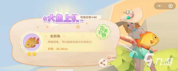 珍珠海大冒险钓鱼技巧全攻略：轻松掌握钓鱼方法