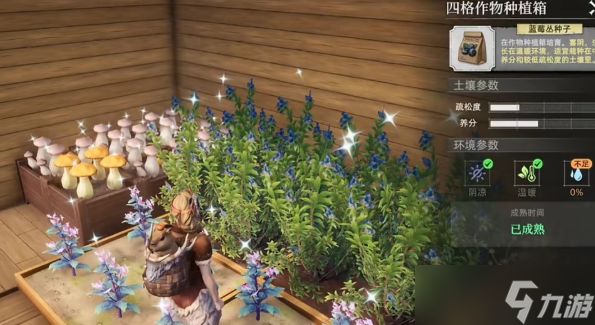 荒原曙光土壤获取以及完美种植配比一览