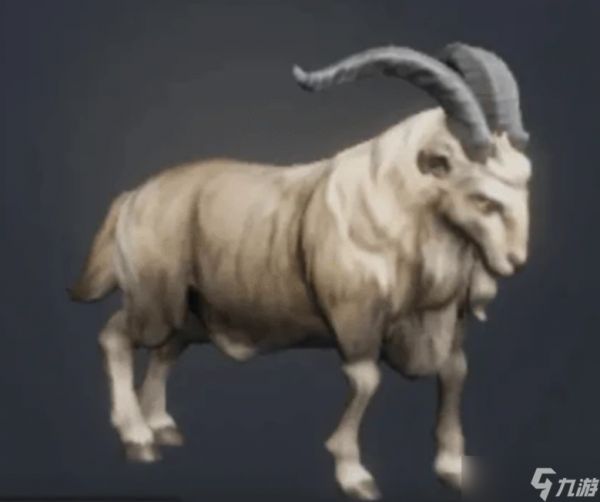 荒原曙光开荒宠物怎么选-开荒宠物推荐