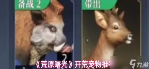 荒原曙光开荒宠物怎么选-开荒宠物推荐