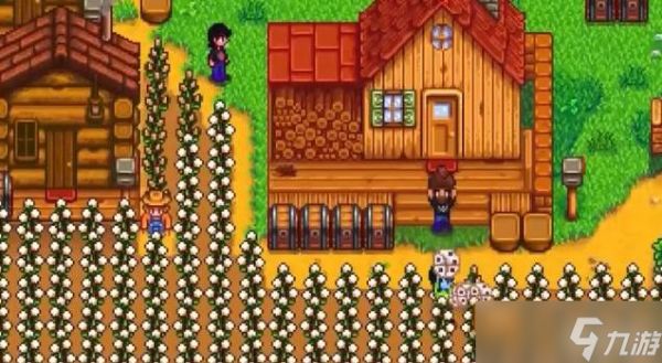 星露谷物语开局心得