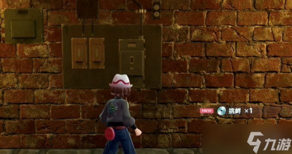 《宝可梦传说ZA》挑衅技能位置介绍