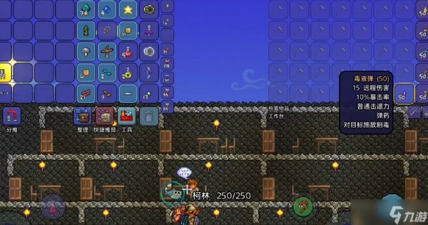 泰拉瑞亚新三王后射手装哪个最好