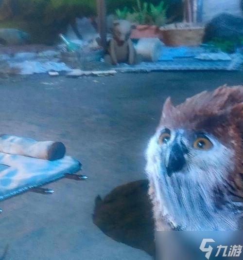 博德之门3（枭熊训练攻略）