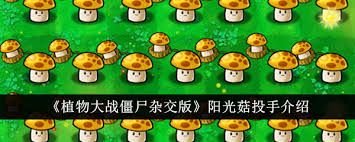 植物大战僵尸杂交版辣椒阳光菇有什么用