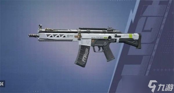 远光84强力步枪介绍指南