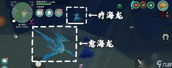 创造与魔法小龙虾(用创造力与魔法探索无限可能)