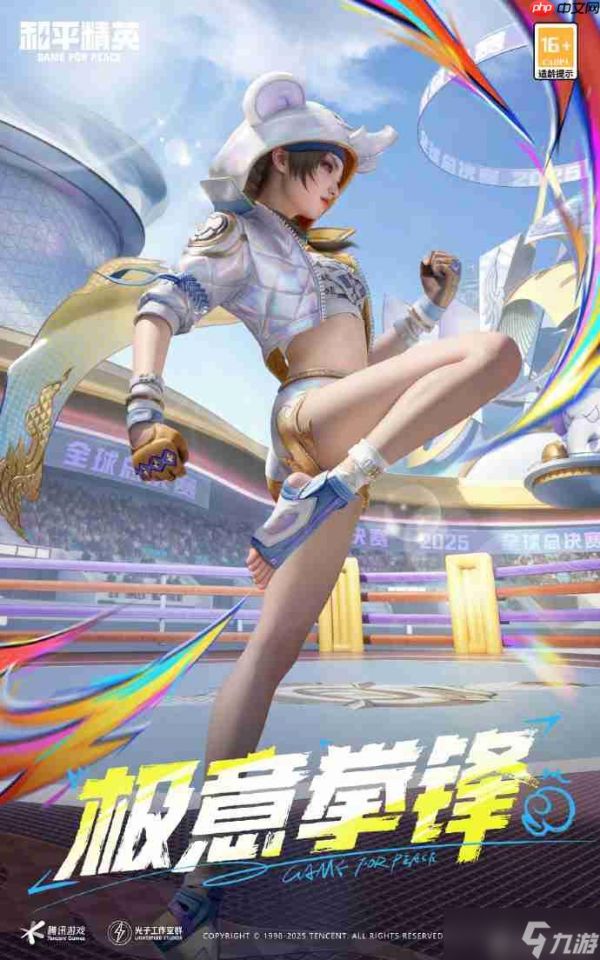 和平精英极意拳锋皮肤需要多少钱-和平精英极意拳锋价格介绍