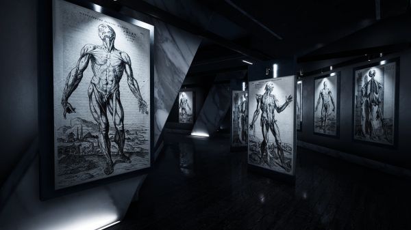 海参2什么时候出 公测上线时间预告