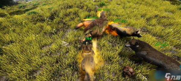 驯服恐狼组建无敌狼群：全面解析实用战斗与探索技巧