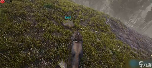 驯服恐狼组建无敌狼群：全面解析实用战斗与探索技巧