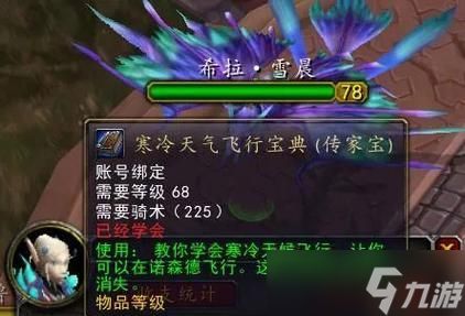 魔兽飞行服务哪个更实惠？