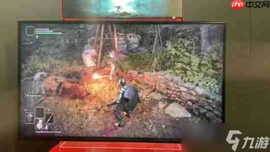 《艾尔登法环:褪色者版》NS2最新实机!性能持续改善 明年发售