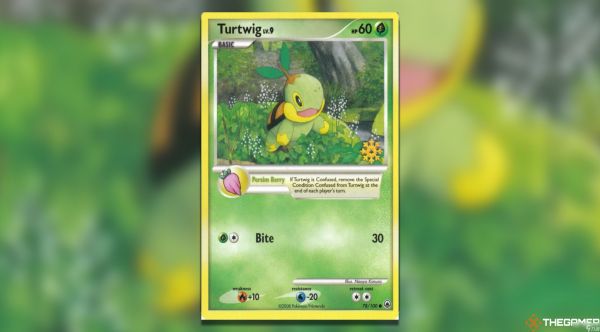 宝可梦卡牌最昂贵的倒数日历促销卡盘点