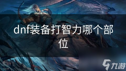 dnf装备打智力哪个部位