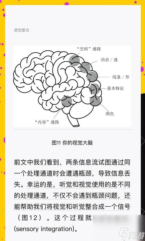 黑白记忆使用方法是什么？如何发挥最大效果？