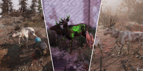 如何在《辐射76》中快速完成“力量与统治力测试”:燃烧之泉