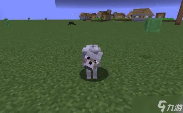 我的世界怎么驯服狼手机版?从骨头准备到战斗伙伴养成指南