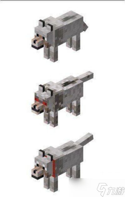 我的世界怎么给狼命名?从驯服到命名的完整指南