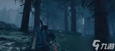 《往日不再》游戏隐藏结局揭秘(探索游戏细节)