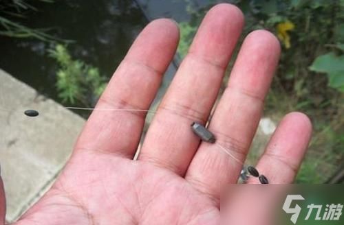 《以盗贼之海登岛鱼的详细钓法介绍》(掌握游戏中钓鱼技巧)