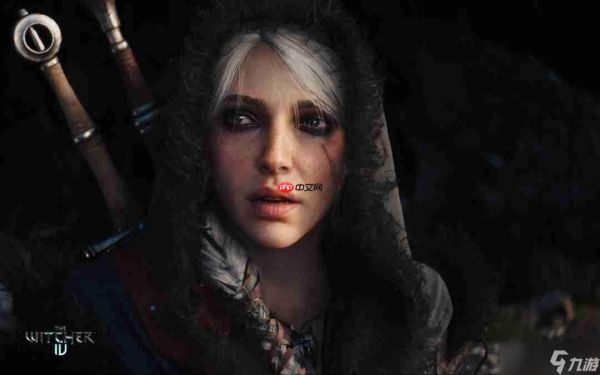 《巫师4》故事总监喜欢缺陷型角色 新作或延续风格