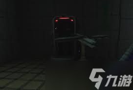 非生物因素新手常见问题有哪些