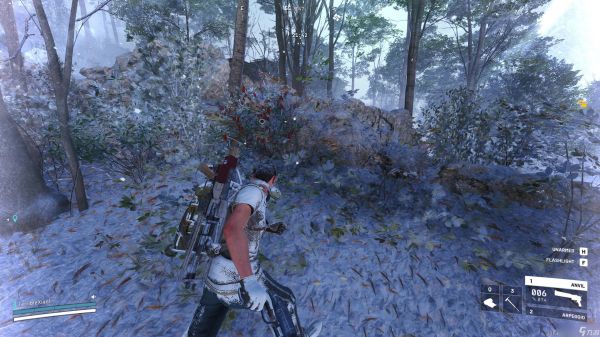 Arc Raiders 最佳烛果采集位置推荐