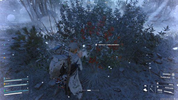 Arc Raiders 最佳烛果采集位置推荐