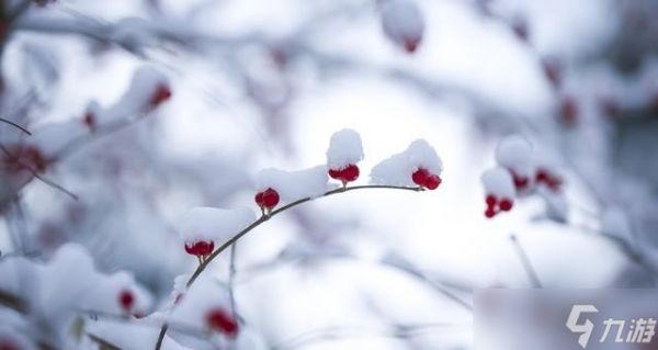 “2026年景好不好，就看冬月初一”，明日冬月初一，有啥说法？