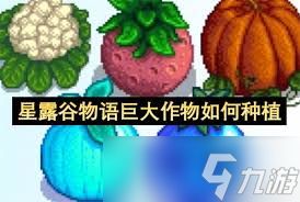 星露谷物语怎么种巨大作物