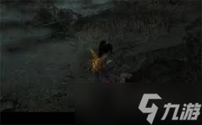 明末渊虚之羽望山村女眷支线任务怎么做