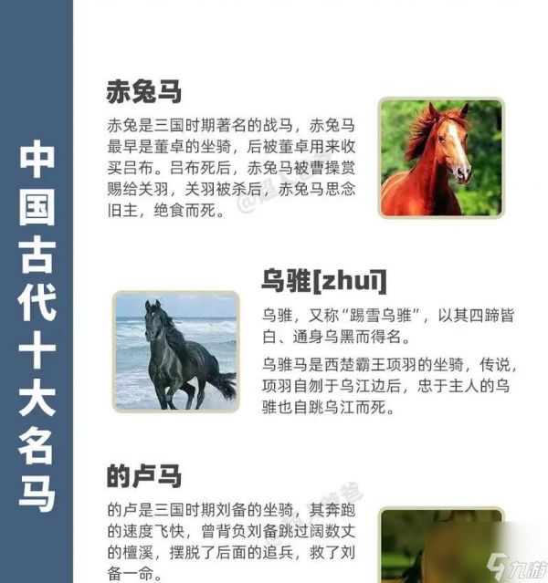 《武侠游戏中不同种类马匹的区别及效果介绍》(选择合适的坐骑)