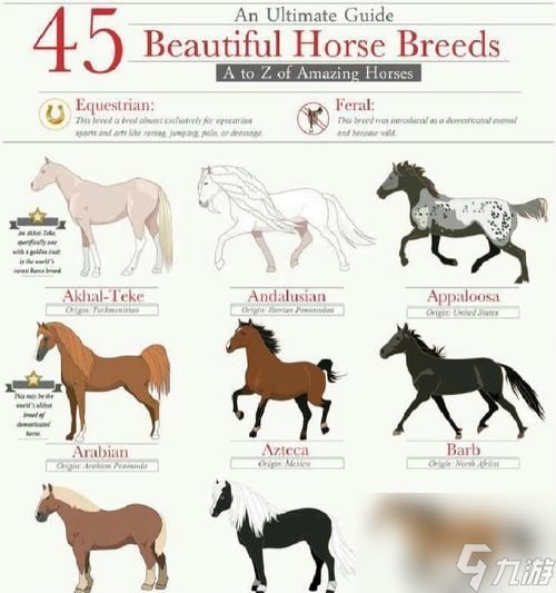 《武侠游戏中不同种类马匹的区别及效果介绍》(选择合适的坐骑)